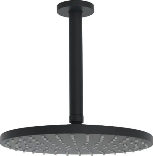 HANSA Kopfbrause, d 250 mm HANSAVIVA 4427 Matt-Schwarz, 4427020033, Artikel in Kategorie